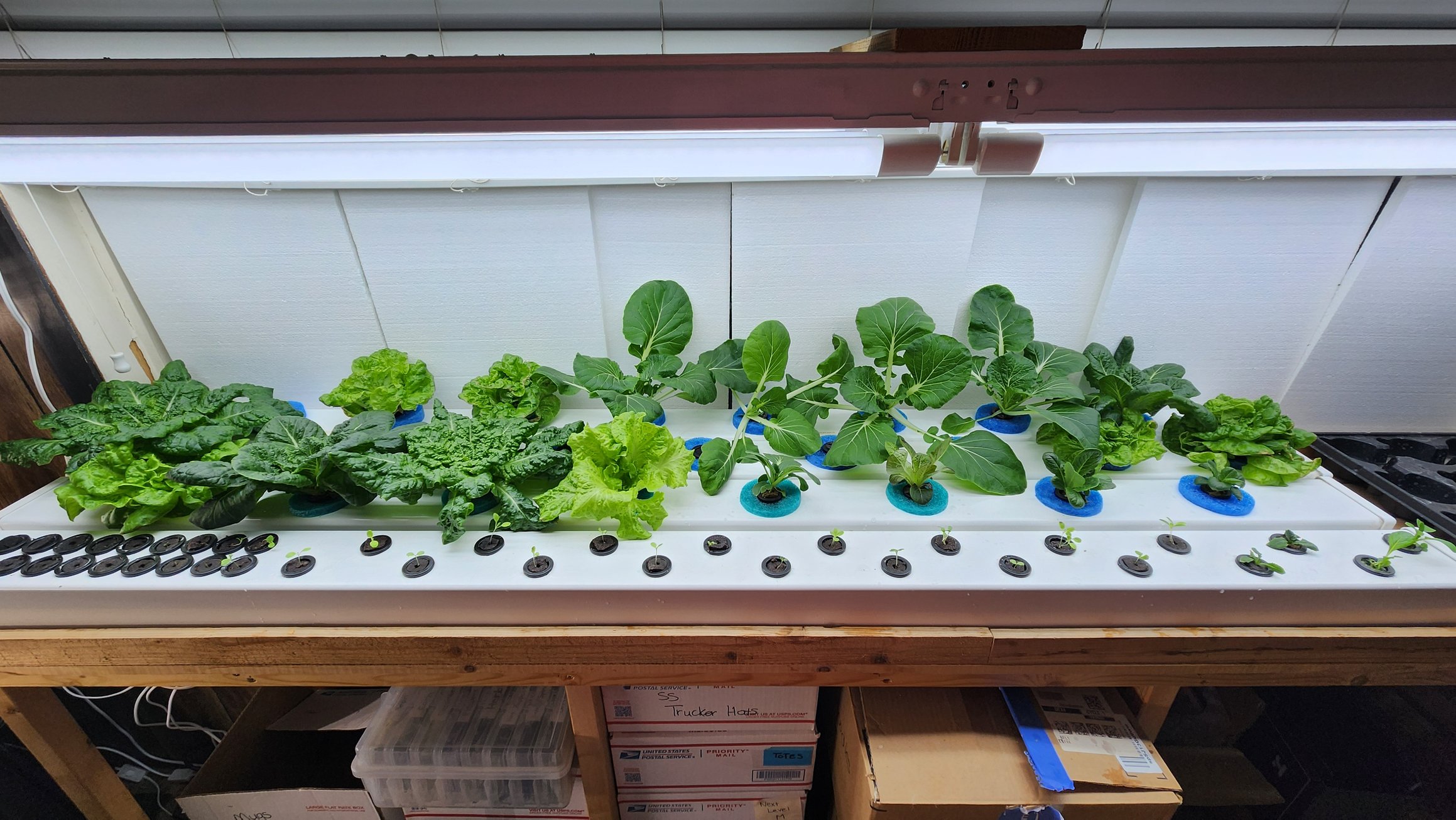 https://sunsetsanctuary.farm/stands/1/photos/photo10.jpg