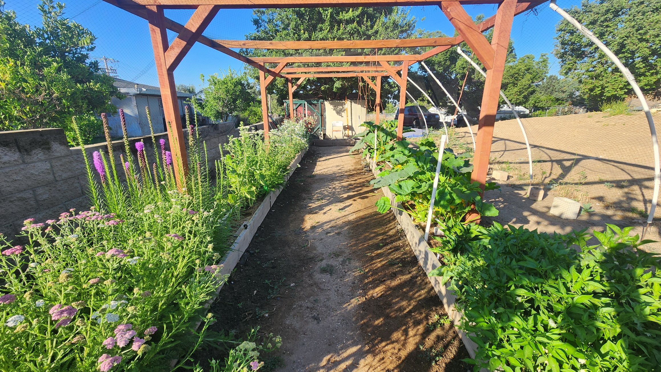 https://sunsetsanctuary.farm/stands/1/photos/photo5.jpg